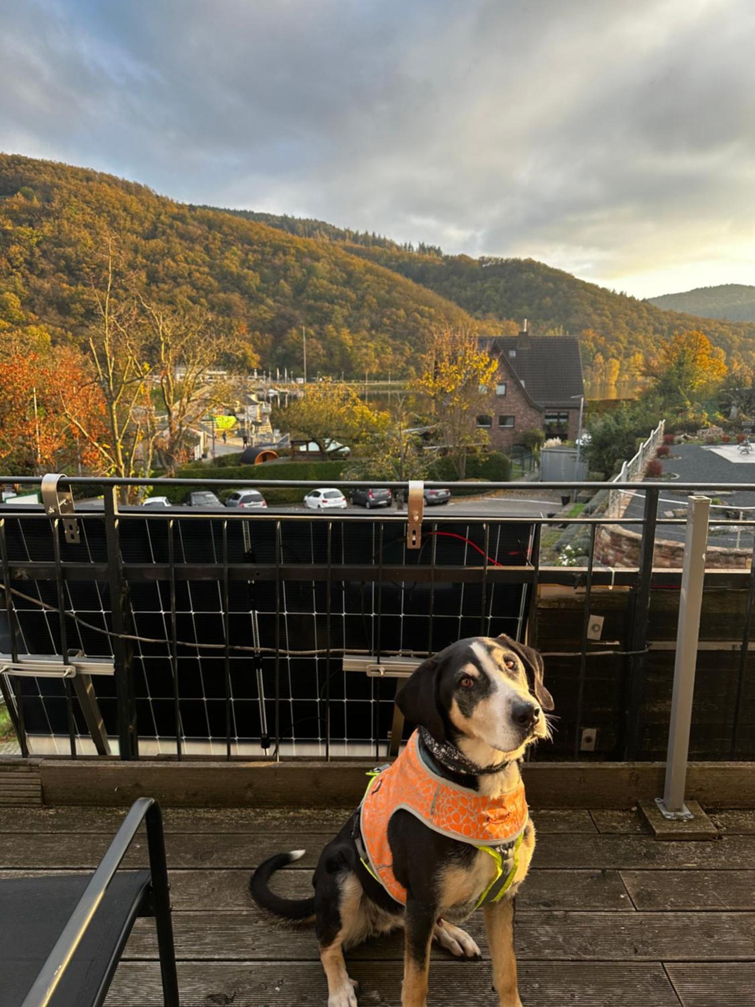 Green Seeblick Hotel Am See Obermaubach ภายนอก รูปภาพ